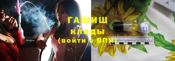 индика Арсеньев