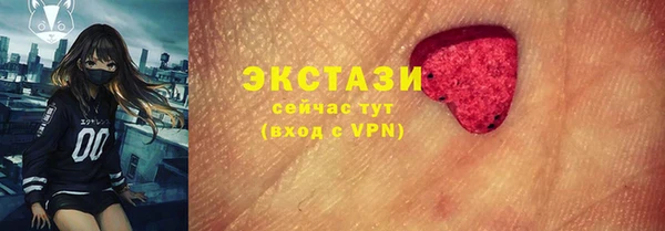индика Арсеньев