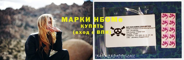 хмурый Аркадак