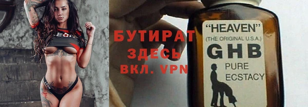индика Арсеньев