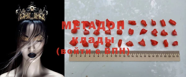 хмурый Аркадак