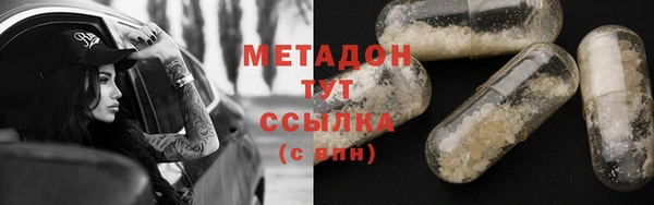индика Арсеньев