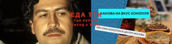 индика Арсеньев