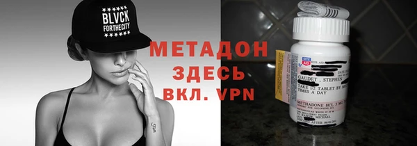 индика Арсеньев