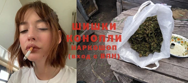 хмурый Аркадак