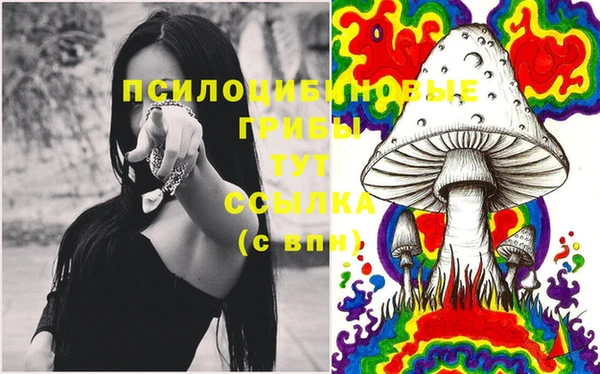 хмурый Аркадак