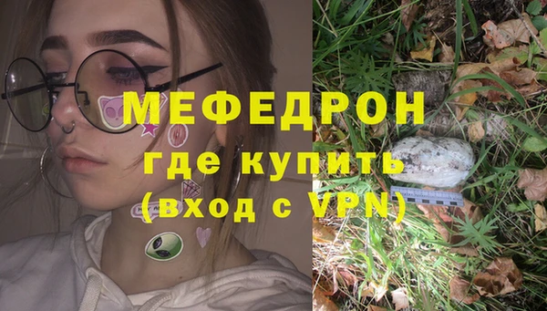 индика Арсеньев