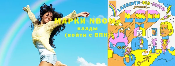 индика Арсеньев
