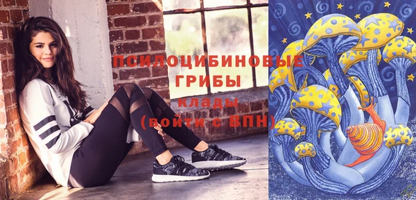 индика Арсеньев
